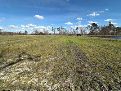 904 Hickory Nut Rd, Nicholls, GA 31554 - photo 5