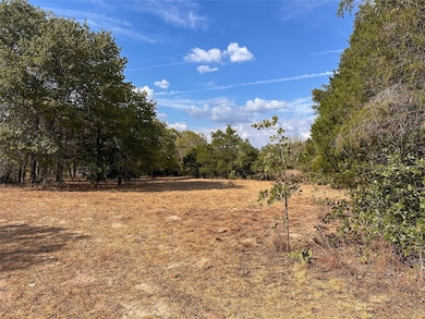 View of local wilderness