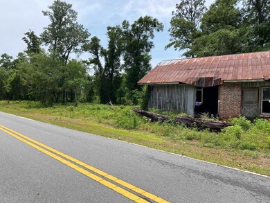 xxx Council Moore Rd, Crawfordville, FL 32327 - photo 2