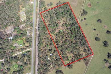 TBD S Us 301, Webster, FL 33597 - photo 3