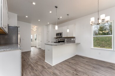 1234 Townsend Ave, Shelbyville, TN 37160 - photo 7