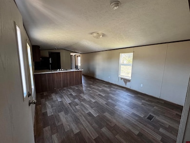 1016 Arkansas 223, Pineville, AR 72566 - photo 2