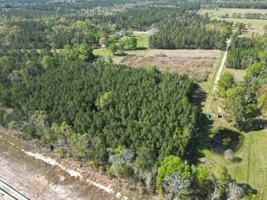 0 Jack Nelson Rd, Deridder, LA 70634 - photo 6