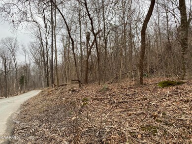 Above Walker Mountain Rd, Cookeville, TN 38506 - photo 3
