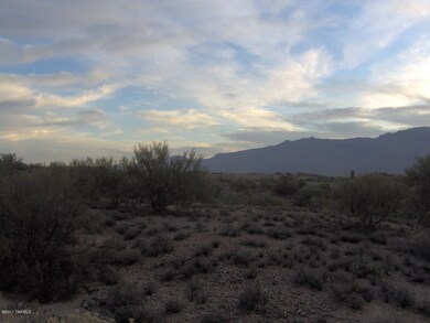 Stunning views of the Catalinas