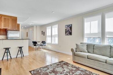 2 St Paul St unit 308, Brookline, MA 02446 - photo 7