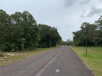 1627/1663 E Naperville Ln, Hernando, FL 34442 - photo 2