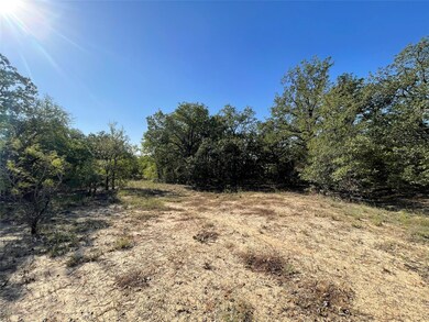 149 Paradise Oaks Ct, Paradise, TX 76073 - photo 5