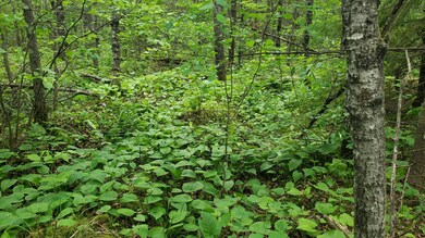 101 Swamp Lake Rd, Tomahawk, WI 54487 - photo 3