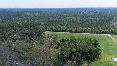 0 Old Louisville Rd unit Lot 5, Guyton, GA 31312 - photo 7