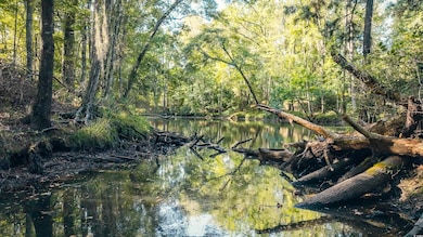 TBD Terrell's Bay Rd, Centenary, SC 29519 - photo 3