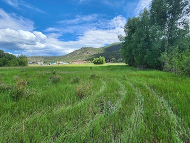 30081 W Hwy 160, South Fork, CO 81154 - photo 5