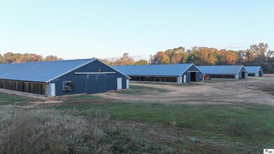 1034 Mccrary Rd, Downsville, LA 71234 - photo 5