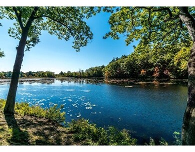 53 Angleside Rd unit 3, Waltham, MA 02453 - photo 2