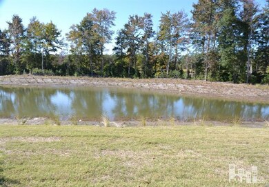 937 Tannin Bark Cir, Leland, NC 28451 - photo 2