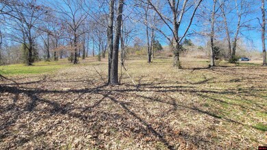 490-00001-008 Fox Chase Dr, Flippin, AR 72634 - photo 5