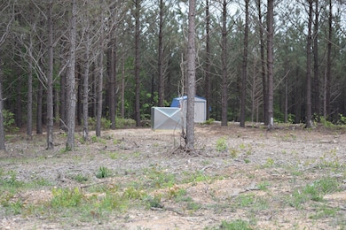 19 Chestnut Dr, Linden, TN 37096 - photo 6