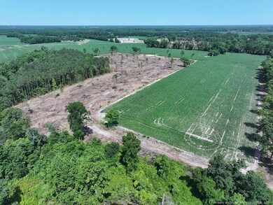 TBD Nc Hwy 71 Hwy, Red Springs, NC 28377 - photo 2