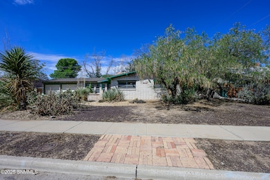 2913 Devendale Ave, Las Cruces, NM 88005 - photo 7