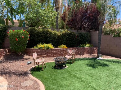 Backyard2