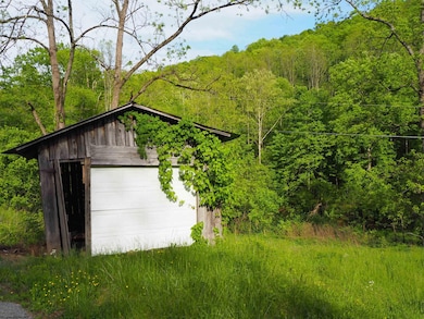 50 Wine Ln, West Union, WV 26456 - photo 3