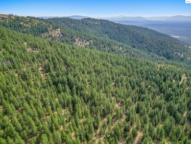 NNA Usfs 2550 (40 Acres), Blanchard, ID 83804 - photo 5