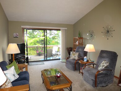1421 7th St NW unit 41, Grand Rapids, MI 49504 - photo 3