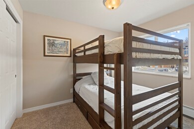 144 Gold Run Cir unit 19, Dillon, CO 80435 - photo 5