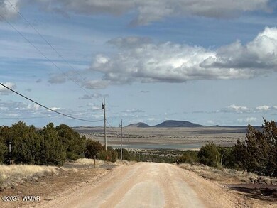 233 Cr 8088 Hohokam Rd unit 8088, Concho, AZ 85924 - photo 6
