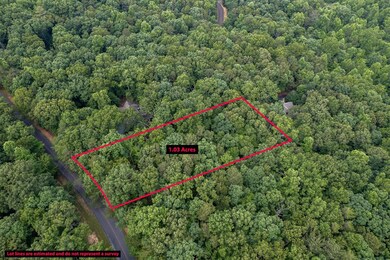 LT 80 Doll Mountain Rd, Ellijay, GA 30540 - photo 7