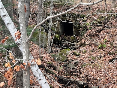 Lot 1 & 2 Thistle St, Upton, ME 04261 - photo 2