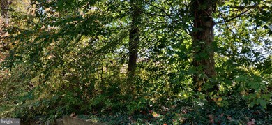 3119 Sutherland Hill Ct, Fairfax, VA 22031 - photo 5