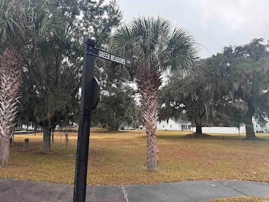 616 Green Meadows Cir unit Lot 23, Georgetown, SC 29440 - photo 4