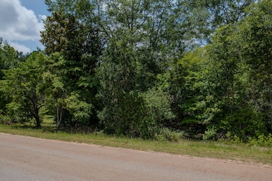 308 G R Tucker Rd, Harlem, GA 30814 - photo 4