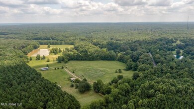 1968 Bend Rd, Coldwater, MS 38618 - photo 3