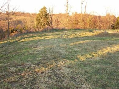 0 Scott Ln, Willisburg, KY 40078 - photo 2