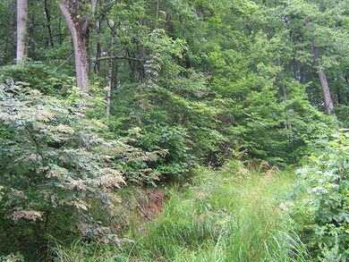 Home Site Area