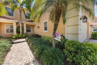 Doorway to property featuring stucco siding