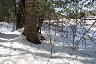 On Pinkham Rd unit Lot 2A, Burke, VT 05832 - photo 4