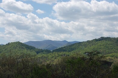 00 Arland Mountain Rd (Tract Four), Franklin, NC 28734 - photo 6