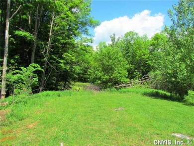 Other Spring Fed Pond at Rear of Property
