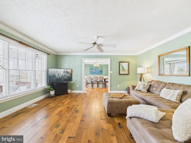 56 Smoot Rd, Woodstock, VA 22664 - photo 4