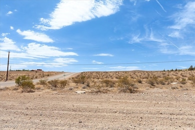 0 Blue Diamond Rd, Las Vegas, NV 89124 - photo 7