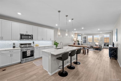 Open Kitchen with Quartz Countertops and Soft Close Cabinetry