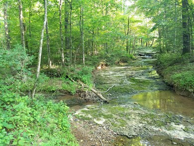 The first tract has several wide, gorgeous creeks running through it.