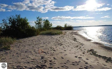 173 Ottawa, Elk Rapids, MI 49629 - photo 3