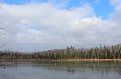 762 Moonlight Ln, Blackwell, WI 54103 - photo 5