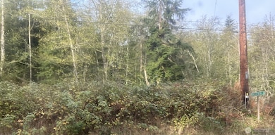 0 Forest View Ln, Greenbank, WA 98253 - photo 3