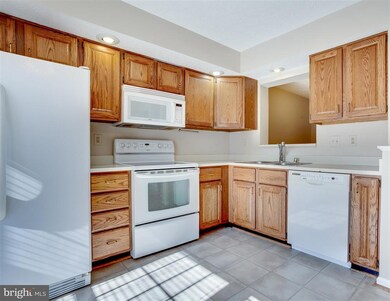 8040 Brightwood Ct, Ellicott City, MD 21043 - photo 6