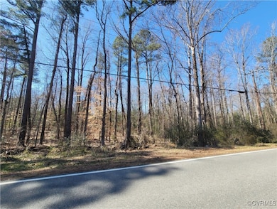 5500 Meadow Rd, Sandston, VA 23150 - photo 4